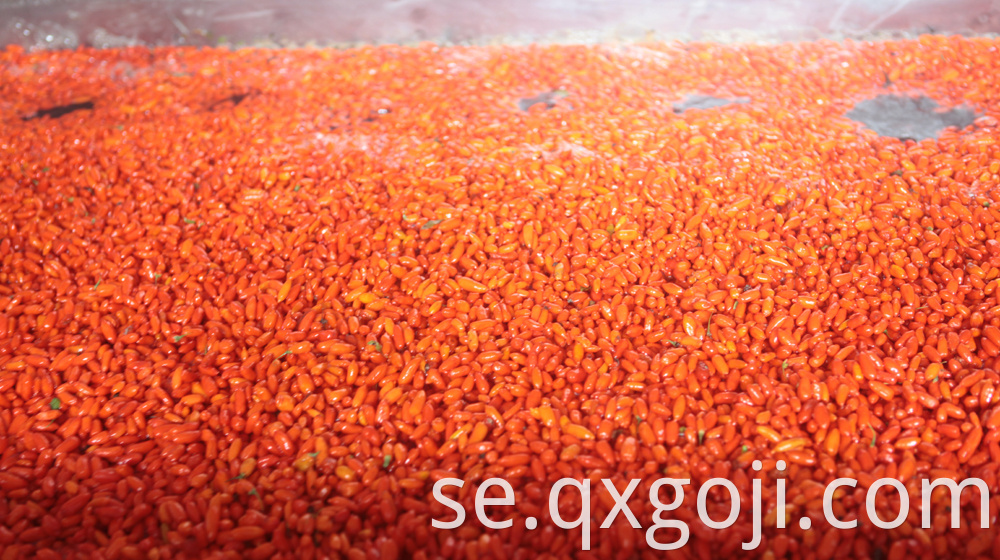 Red Organic Goji Berry